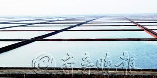 匯泰集團 以海水養(yǎng)殖技術研發(fā)引領環(huán)境友好型企業(yè)建設