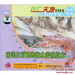 南美白對蝦海水養(yǎng)殖技術詳解