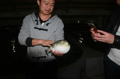 大連啟航“海魚陸養”保險，海水養殖技術研發迎來新機遇