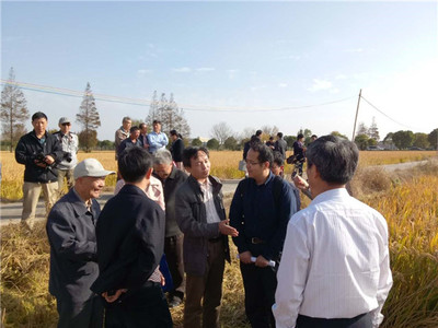 發揮學科優勢，助力崇明建設——化分學院分析-物化聯合黨支部“主題黨日”活動聚焦海水養殖技術研發