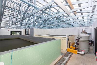 內陸循環海水養蝦新突破 手掌大規格蝦亮相，口感營養比肩北極甜蝦