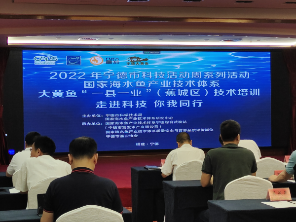 寧德聚力大黃魚“一縣一業” 技術培訓與研發雙輪驅動，引領海水養殖新篇章