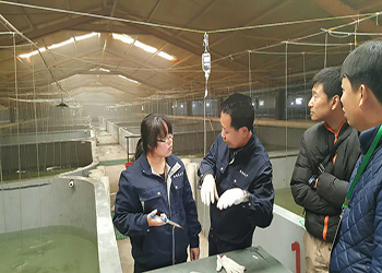 我國(guó)海水養(yǎng)殖技術(shù)新突破 告別'嗑藥'魚，首個(gè)海水魚活疫苗投產(chǎn)應(yīng)用