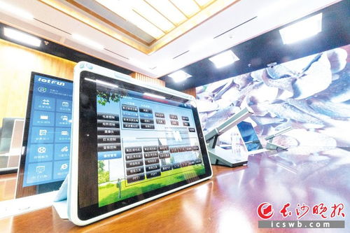 閃耀世界的長沙之光技術服務